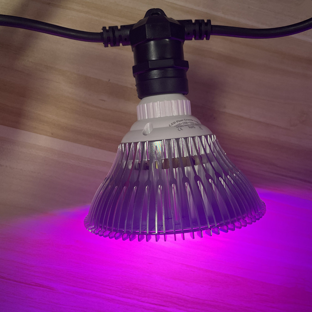 10 m langes LED-Kabel, wasserd – Outdoor Lighting Globes Bewertung und Preis