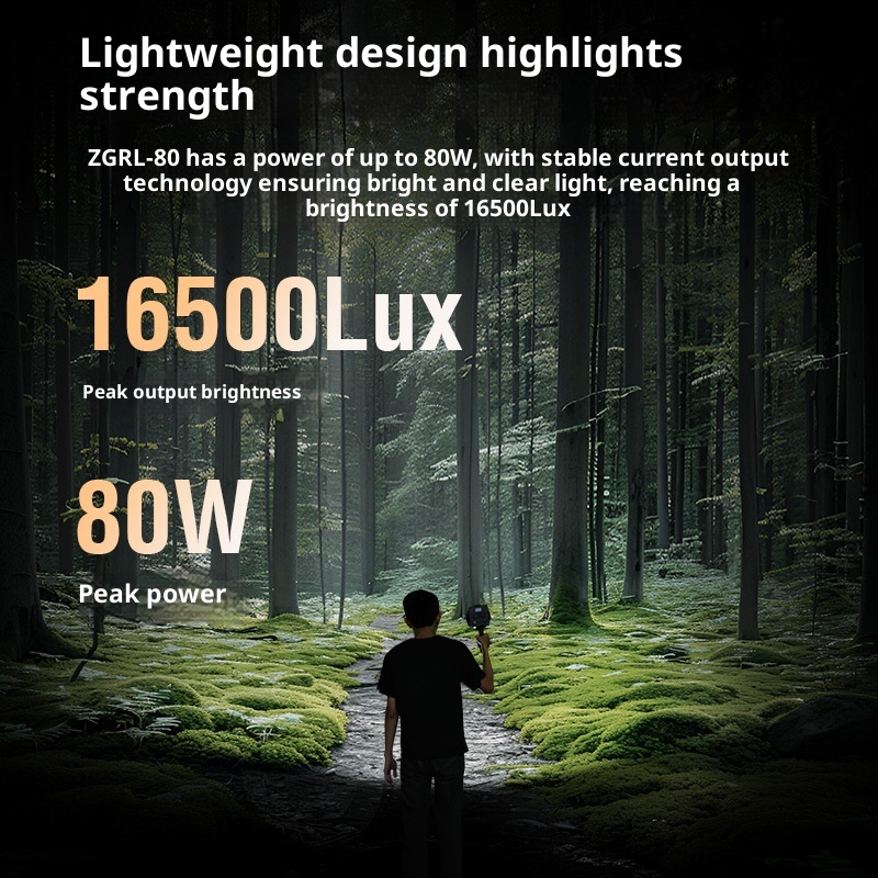 ZGRL80 80 W COB-LED-Videoleuch – Outdoor Lighting In Photography Bewertung und Preis